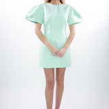 Blake Puff Mini Dress