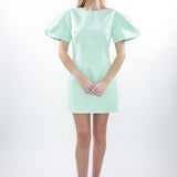 Blake Puff Mini Dress