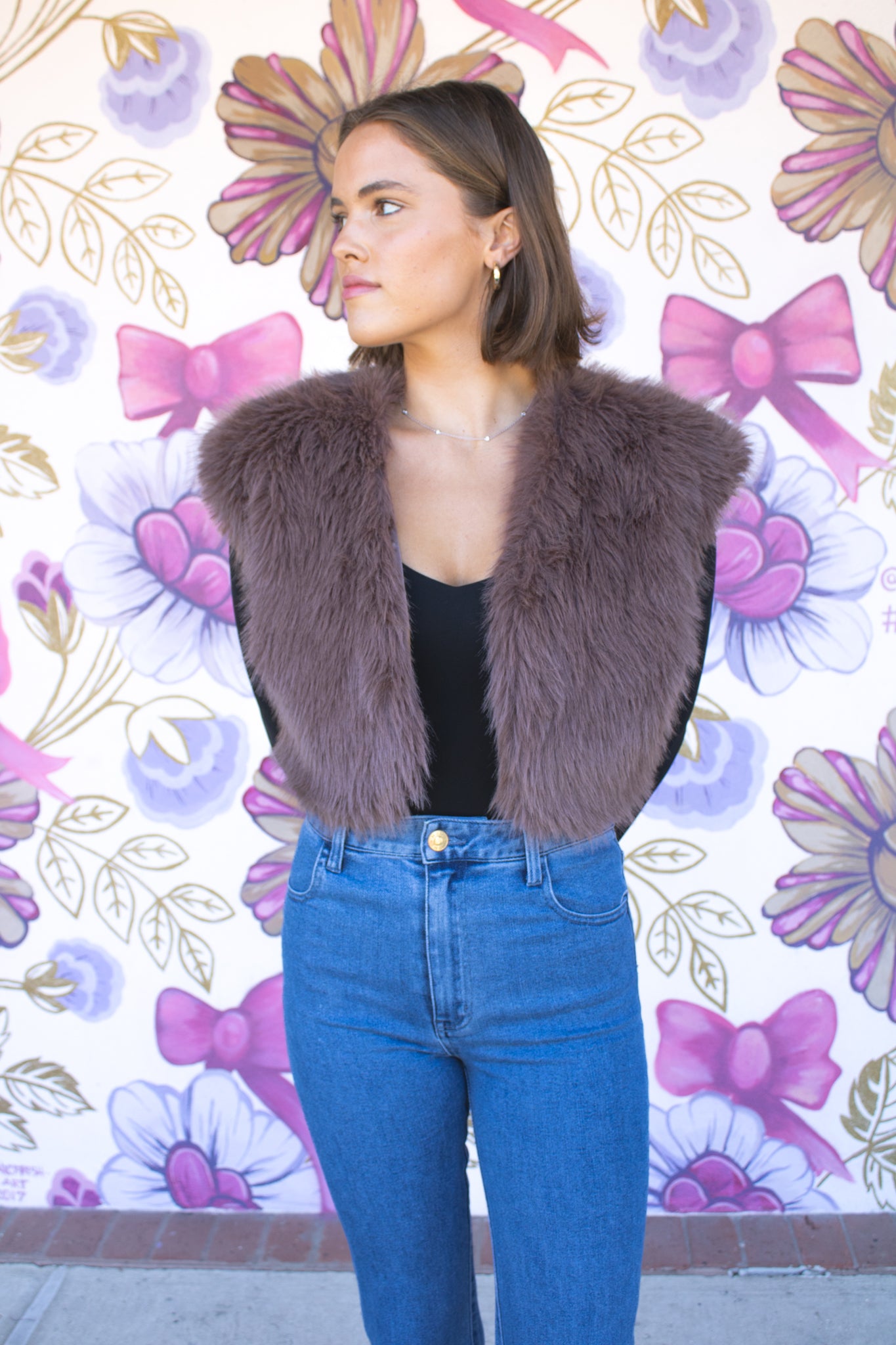 Brown Fur Vest
