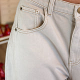 Bethany Barrel Pant