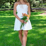 Clemira Dress