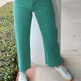 Penny Crop High Rise