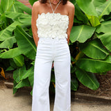 Primula Top