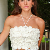 Primula Top