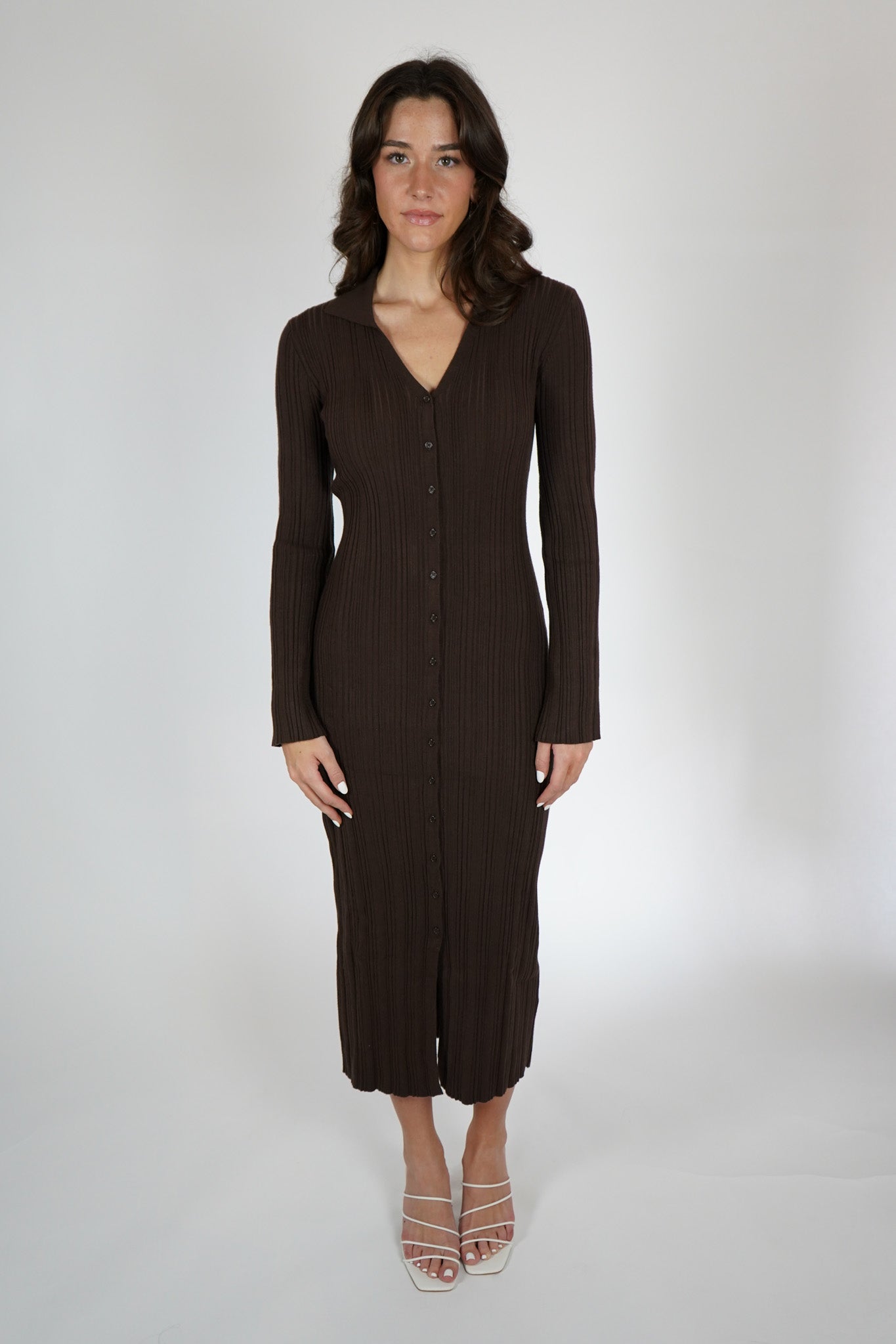 Z Supply Danity Dress Brown