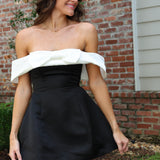 Sorrel Mini Dress